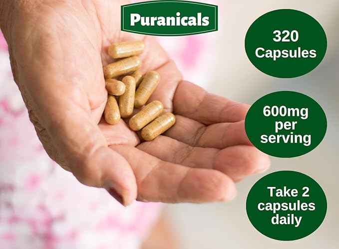 Gotu Kola Premium 320 Capsules Non GMO and Gluten Free | Herbal Supplement | 600 mg Per Serving | Made with 100% Pure Gotu Kola Powder