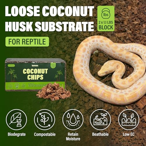 Coconut Chips Substrate 2 Bricks | 1.1 Lbs Each | Reptile Bedding for Ball Python, Bearded Dragon, Tortoise, Gecko, Lizard, Frog | Odor Absorbing | Coconut Chips for Plants, Orchid Bark Mulch - size: 2.2 Lbs (Pack of 2 - 1.1 Lbs Each)