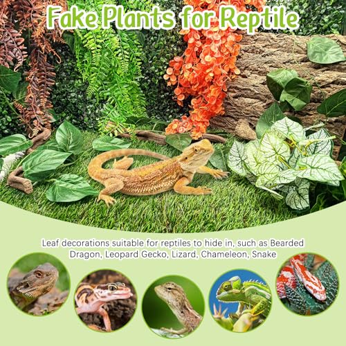 Hamiledyi Reptile Plants Tank Habitat Decorations Fake Hanging Vines 5 Pcs Artificial Leaves Habitat Decorations with Suction Cup for Bearded Dragon, Leopard Gecko, Lizard, Chameleon, Snake (Green) - size: 5 PCS - Style 4