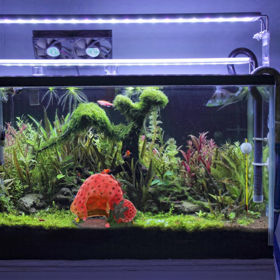 POPETPOP Strawberry Shaped Reptile Hideout Resin Cave for Bearded Dragon Lizard Turtle Habitat Basking Platform Aquarium Decor Shelter 5.11X4.33X4.33In