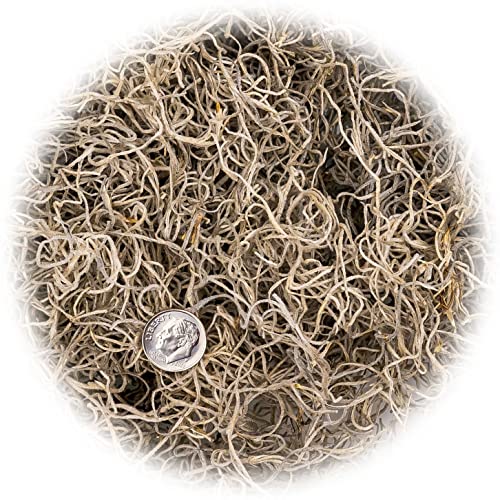 Gardenera Premium Natural Spanish Moss | Natural Preserved - Great Ground Cover - Filler for Potted Plants - 2 Quart Bag (GRD-SPANISH-MOSS-2QT) - color: SPANISH MOSS, size: 2 Quart