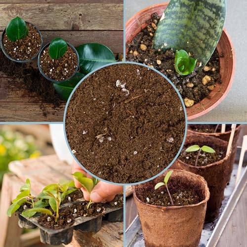 Planting Mix for Plant Propagation (4 Quarts), Hand Blended Soilless Mix for Propagating Plants, House Plants, and More - size: 4 Quarts