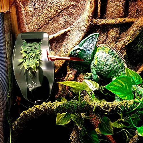 Chameleon Feeding Kit, Come with a Hookable Feeding Bowl and a Reptile Water Feeder, Perfect for Leaving Your pet Whilst on Vacation