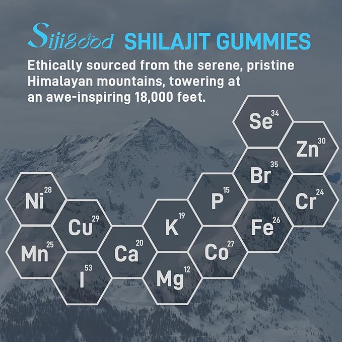 2 Packs Shilajit Supplement Gummies with 85+ Trace Minerals Supplement, Shilajit for Men & Women - 120 Blueberry Flavored Gummies