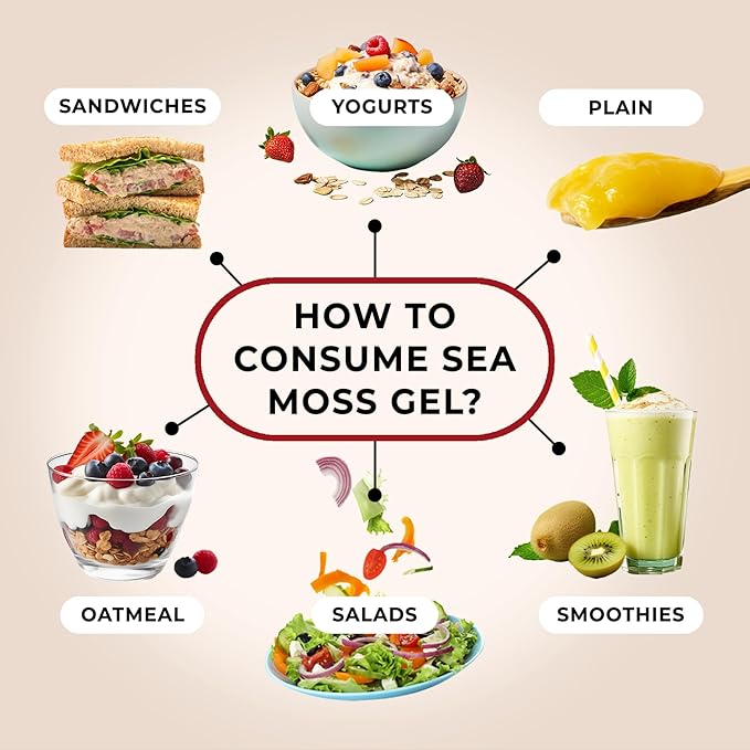 TrueSeaMoss Sea Moss Gel – Made in USA – Wildcrafted Seamoss, Fresh Fruits & Sea Vegetables – Elderberry, Pack of 3 (Labels may Vary)