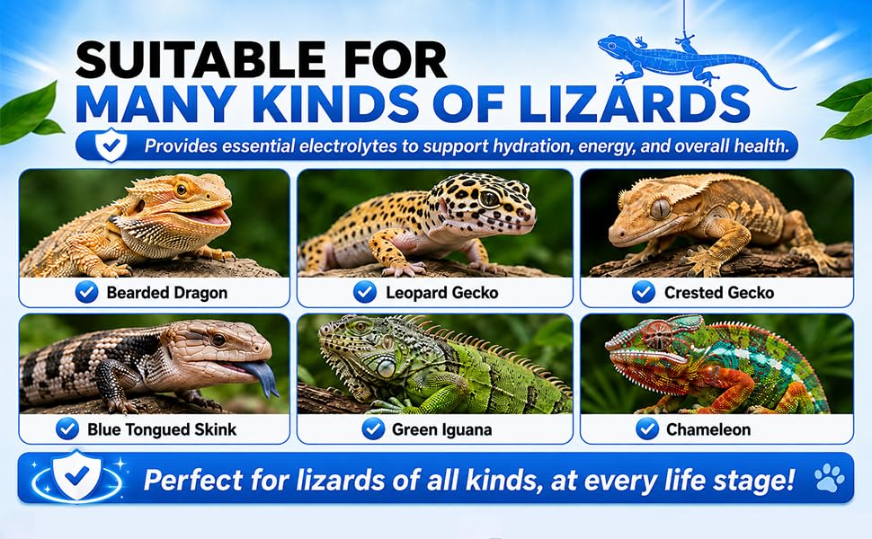 Pet Lizard D3 Calcium Powder—Organically Extracted—Powder (2.82 oz)