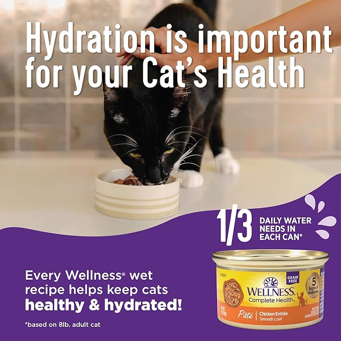 Wellness Complete Health Sliced Adult Wet Cat Food, Natural, Protein-Rich, Grain Free, 5.5 Ounce, 24 Pack, (Turkey & Salmon Entrée)