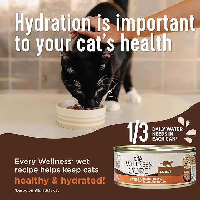 Wellness CORE+ Hairball Pate Adult Wet Cat Food, Natural, Protein-Rich, Grain Free, 2.8 Ounce, 12 Pack (Chicken)