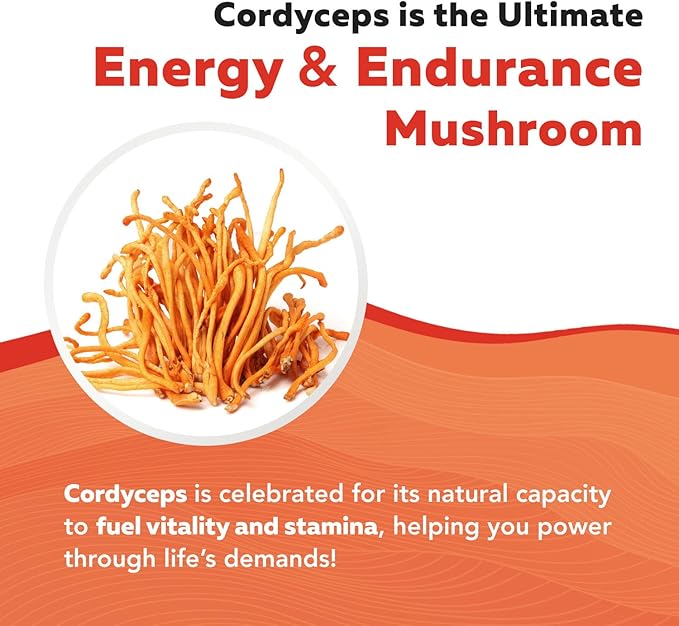 Organic Cordyceps Mushroom Extract - 70% Beta Glucans - Highest Active Nutrient Levels, Max Potency Cordyceps Tincuture, US Grown + Ultrasonic Extraction - Performance, Immunity and Energy - 8 oz.