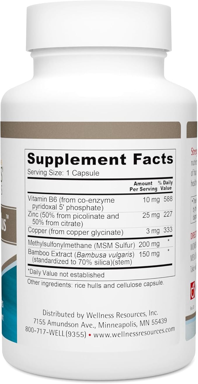 Wellness Resources Strengthener Plus - Zinc Formula for Immune System, Hair, Skin, and Nails. with Bamboo, B6, MSM Sulfur (100 Capsules)