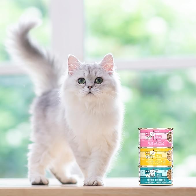 Weruva Cats in The Kitchen, Kitty Gone Wild with Wild Salmon Au Jus Cat Food, 3.2oz Can (Pack of 24)