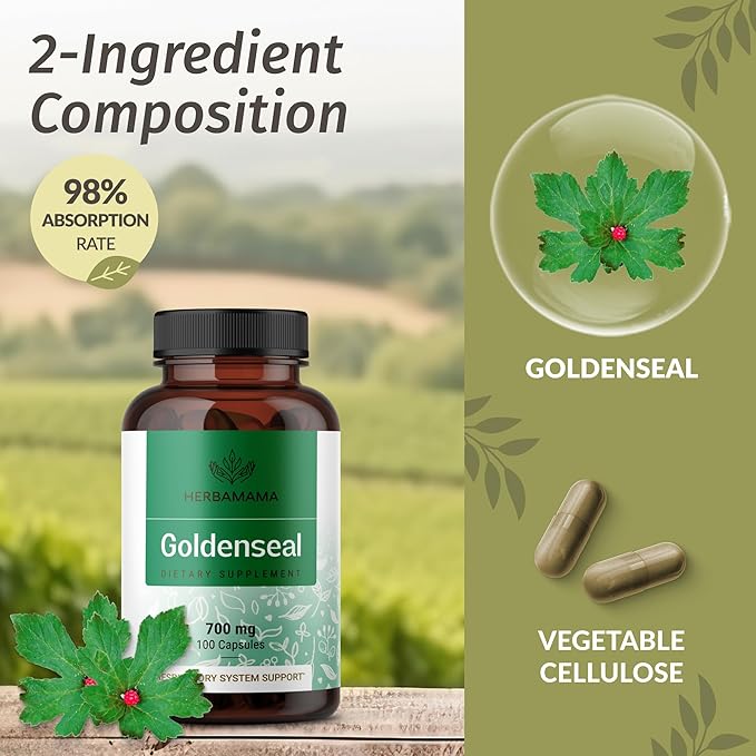 HERBAMAMA Black Elderberry and Goldenseal Kit - Bundle of Elderberry Extract Tincture & 700mg Goldenseal Root Capsules - Vegan, Non-GMO, Sugar & Gelatin-Free - 2 Pack