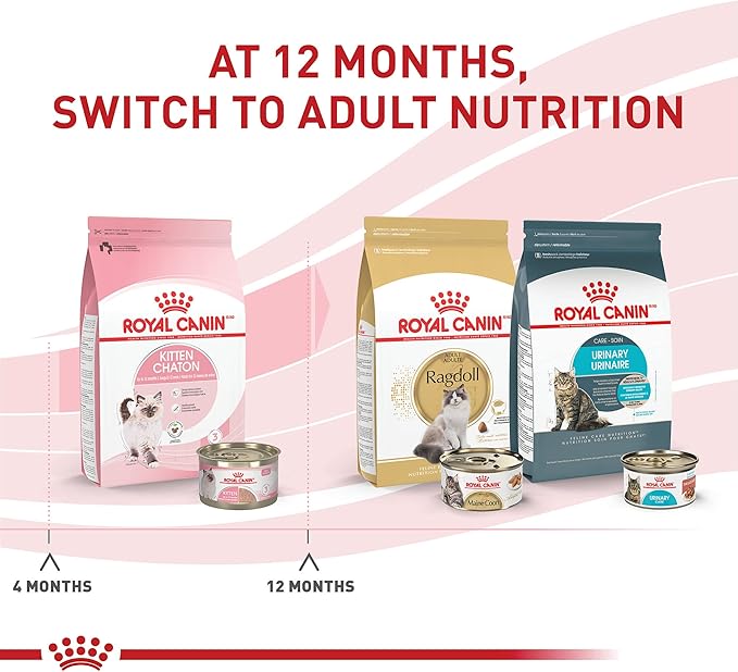 Royal Canin Feline Health Nutrition Kitten Loaf in Sauce Canned Cat Food, 5.1 oz can (24-count)