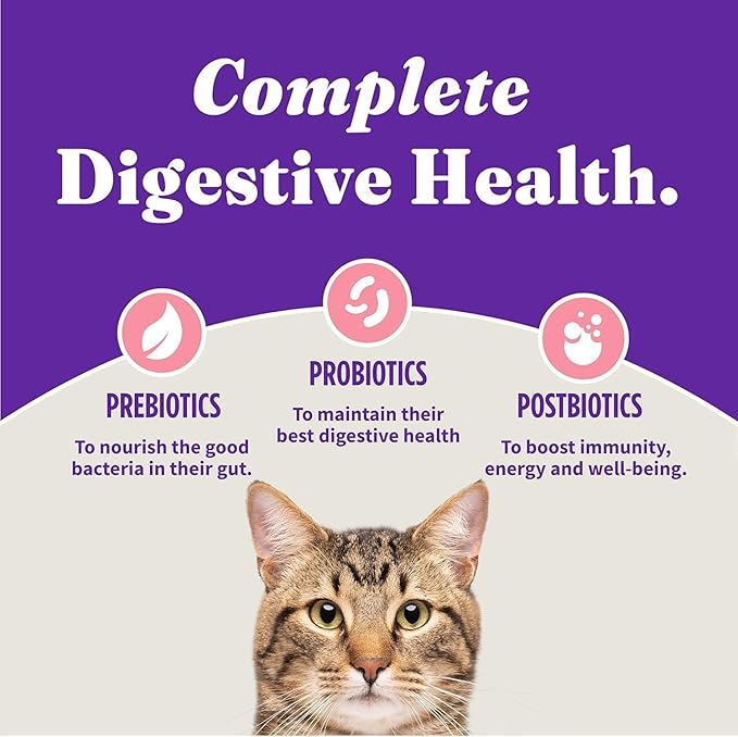 Halo Holistic Cat Food Wild Caught Salmon & Whitefish Formula, Healthy Grains Dry Cat Food, Complete Digestive Health, Kibble for Adult Cats, 6 lb Bag