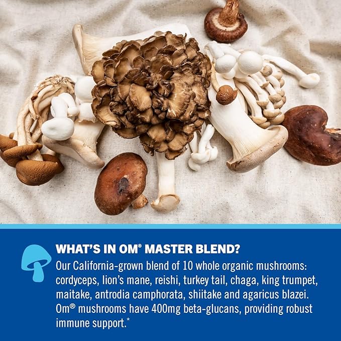 OM MUSHROOM SUPERFOOD Master Blend Mushrooms & Adaptogens, Creamy Vanilla Plant Protein, Single Serve, 10 Count, 10 Mushroom Complex, Lion's Mane, Ashwagandha for Energy, Recovery, Stress Relief