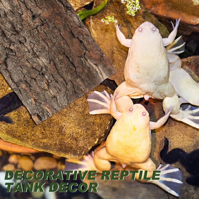 Toddmomy 2-Pack Reptile Cork Bark Aquarium Decor 7.87X3.93 Inch Natural Oak Bark Background for Terrarium Climbing Habitat Accessories for Lizard Gecko Bearded Dragon