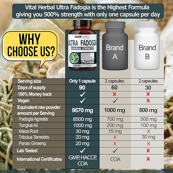 Fadogia Agrestis with Tongkat Ali Capsules for Maximum Strength with Ginseng Maca Root Tribulus - Boost Energy Muscle Buider (90 Count (Pack of 1))