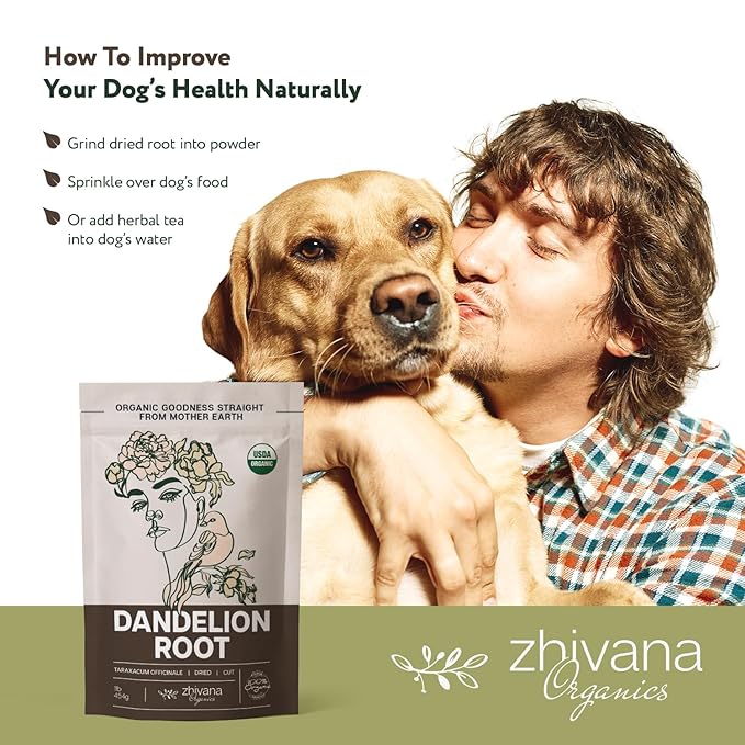 Dandelion Root Tea Loose (16 oz.) – Organic Dandelion Root Herb - Te de Diente de Leon Organico Natural - Liver Cleanse, Digestion, Liver Detox