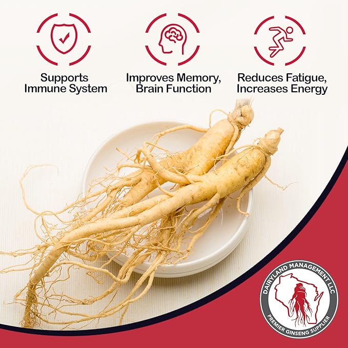 Dairyland American Ginseng Roots 16 oz and Capsules 150 ct Pack of Wisconsin Ginseng – Direct from Farmer to Consumer 西洋参