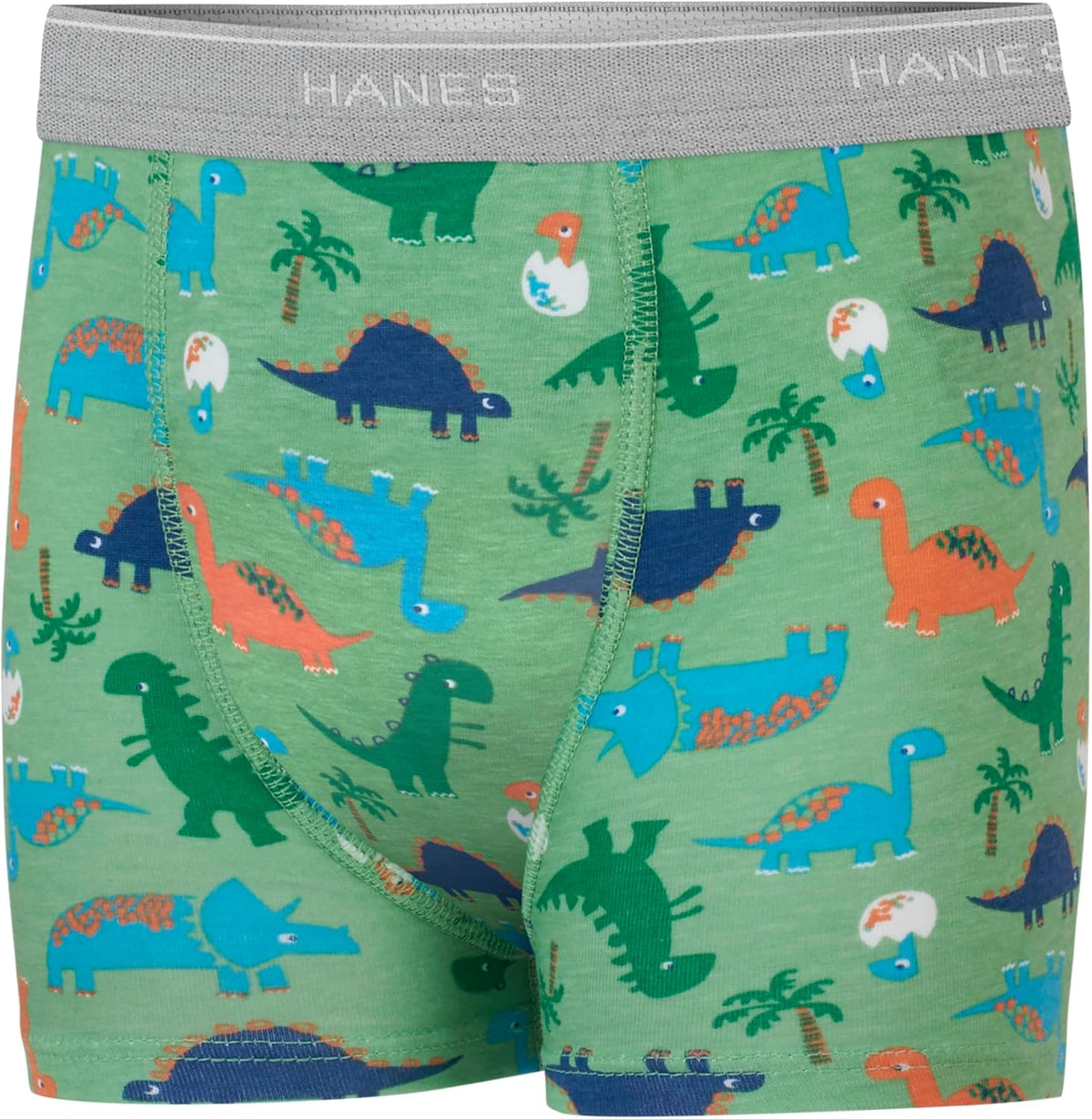 Hanes Boys' Potty Training Underwear, Light Leaks Toddler Cotton Briefs and Boxer Briefs, Multi-pack