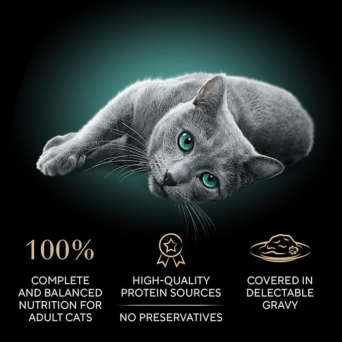 Sheba Gravy Indulgence Adult Wet Cat Food Beef Entree and Chicken Entree in Extra Gravy Variety Pack, 2.6 oz. Twin-Pack Trays (12 Count, 24 Servings) (Pack of 2)