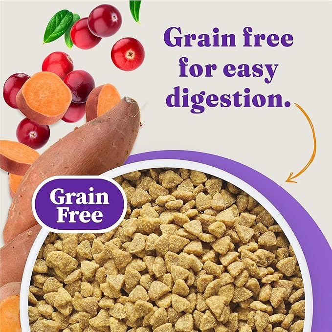 Halo Holistic Cage Free Chicken Cat Food, Grain Free Dry Cat Food, For Healthy Weight Support, Kibble for Indoor Cats, 3 lb Bag