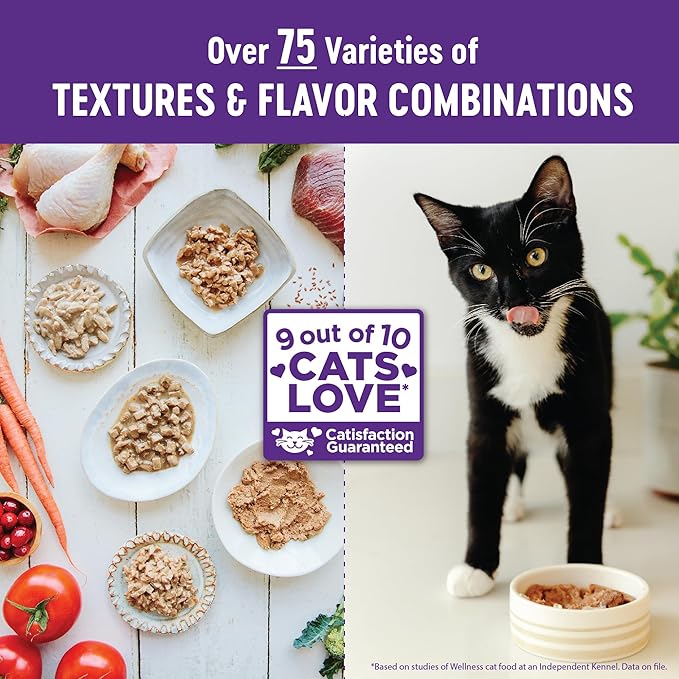 Wellness Complete Health Minced Adult Wet Cat Food, Natural, Protein-Rich, Grain Free, 3 Ounce, 24 Pack, (Tuna Entrée)