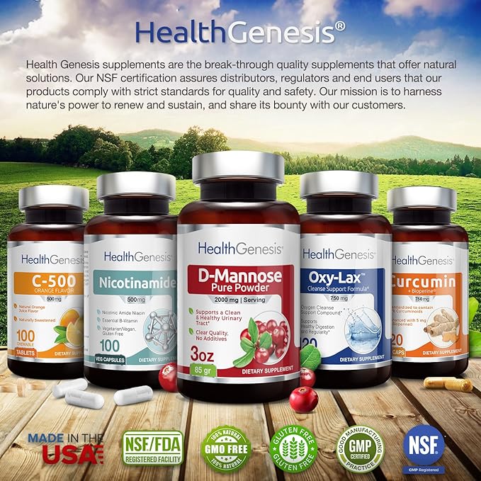 B-3 Nicotinamide 500 mg 100 Caps 2 Pack - Nicotinic Amide Niacin Natural Flush-Free Vitamin Formula - Supports Skin Cell Health