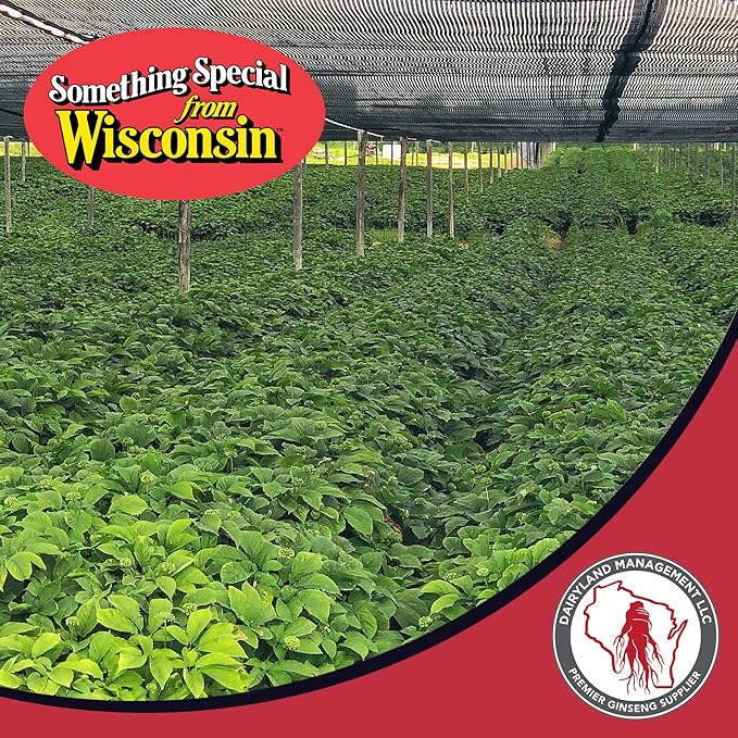 Dairyland American Ginseng Slices and Roots - 4 oz Pack Each of Wisconsin Ginseng – Direct from Farmer to Consumer 西洋参