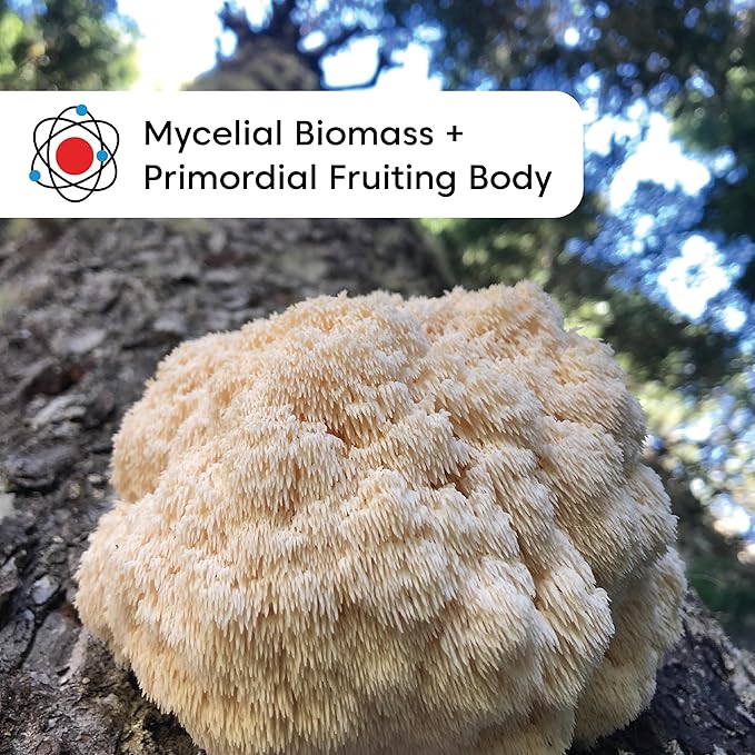Wilderness Poets, Organic Lions Mane Mushroom Powder - California Grown (3.5 Ounce)