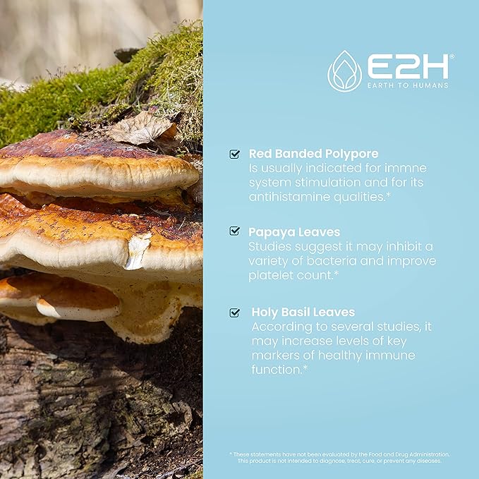 E2H Advanced Immune Defense Supplement - All-Natural Immune Booster - Immune Support Supplements Drops - Contains Holy Basil, Papaya Leaves and Red Banded Polypore - Non-GMO, Vegan - 2 Fl Oz